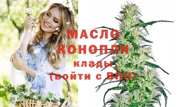 прущие грибы Ачинск