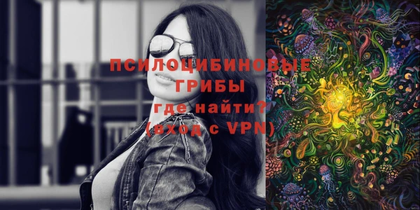 спиды Бердск