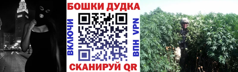Конопля семена  как найти наркотики  Нестеровская 
